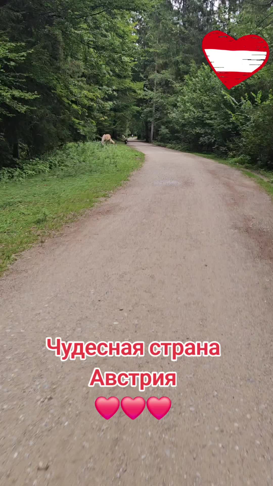@Danila Master