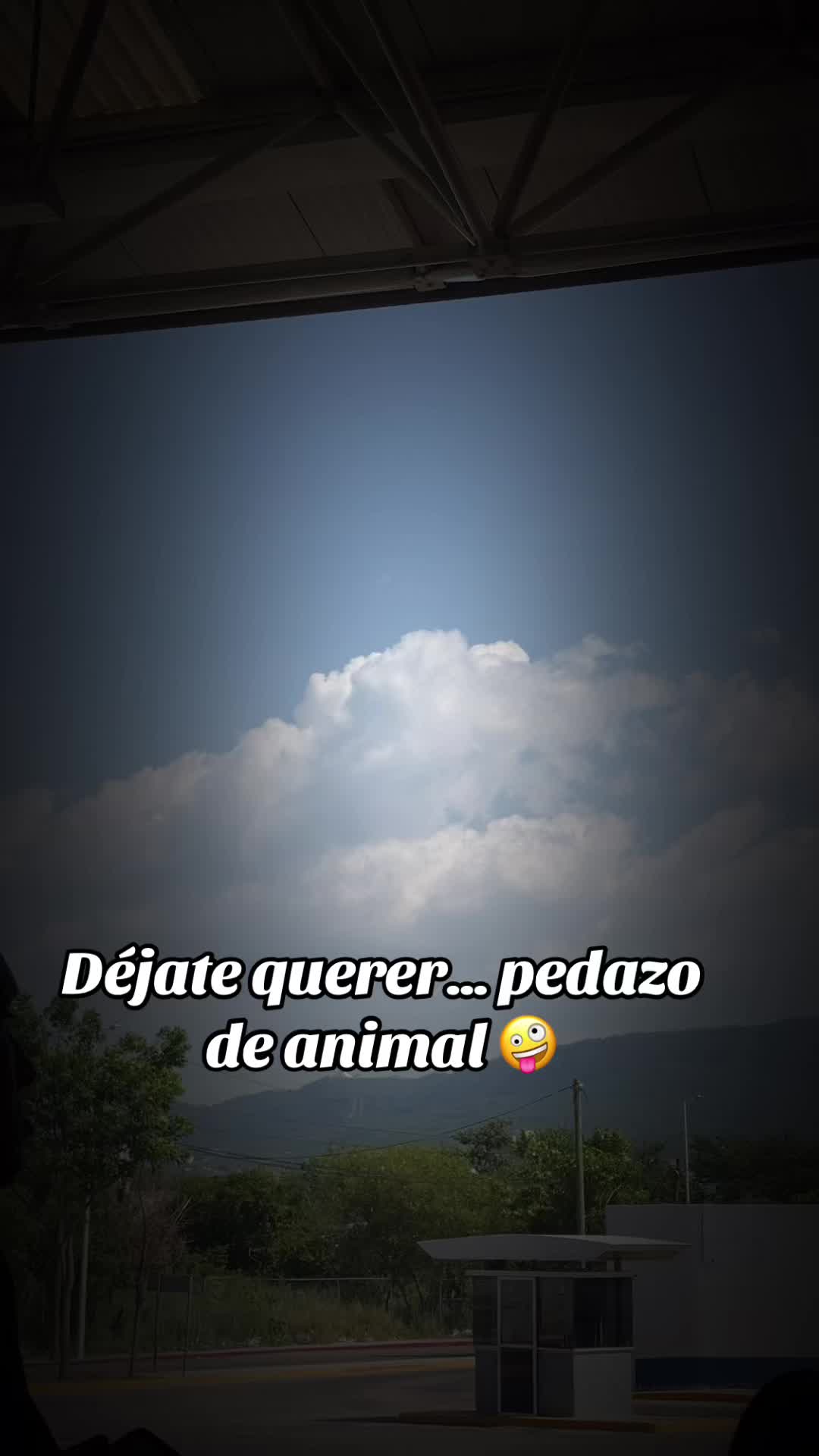 @Soy Un Caos Bonito