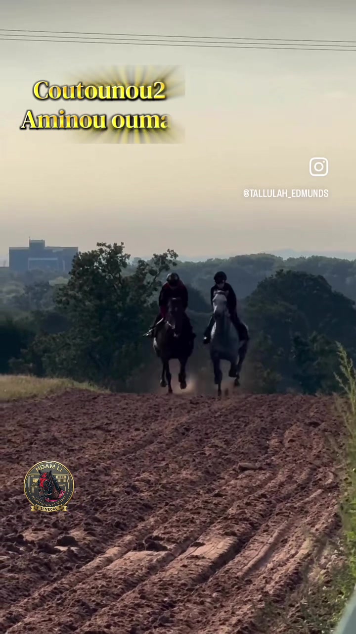 @Dev eriksen4453 ✪