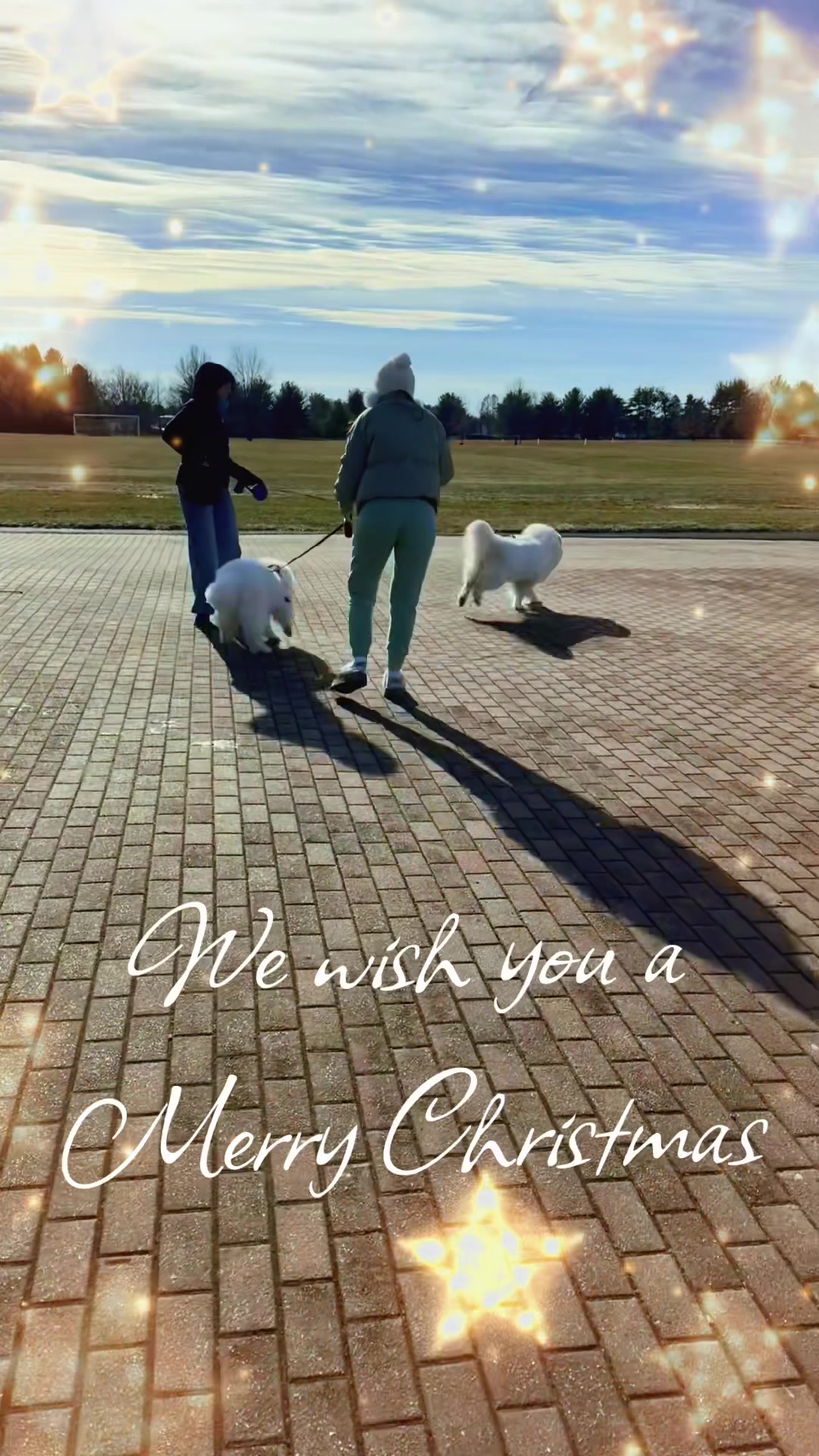 @Mishka the Samoyed
