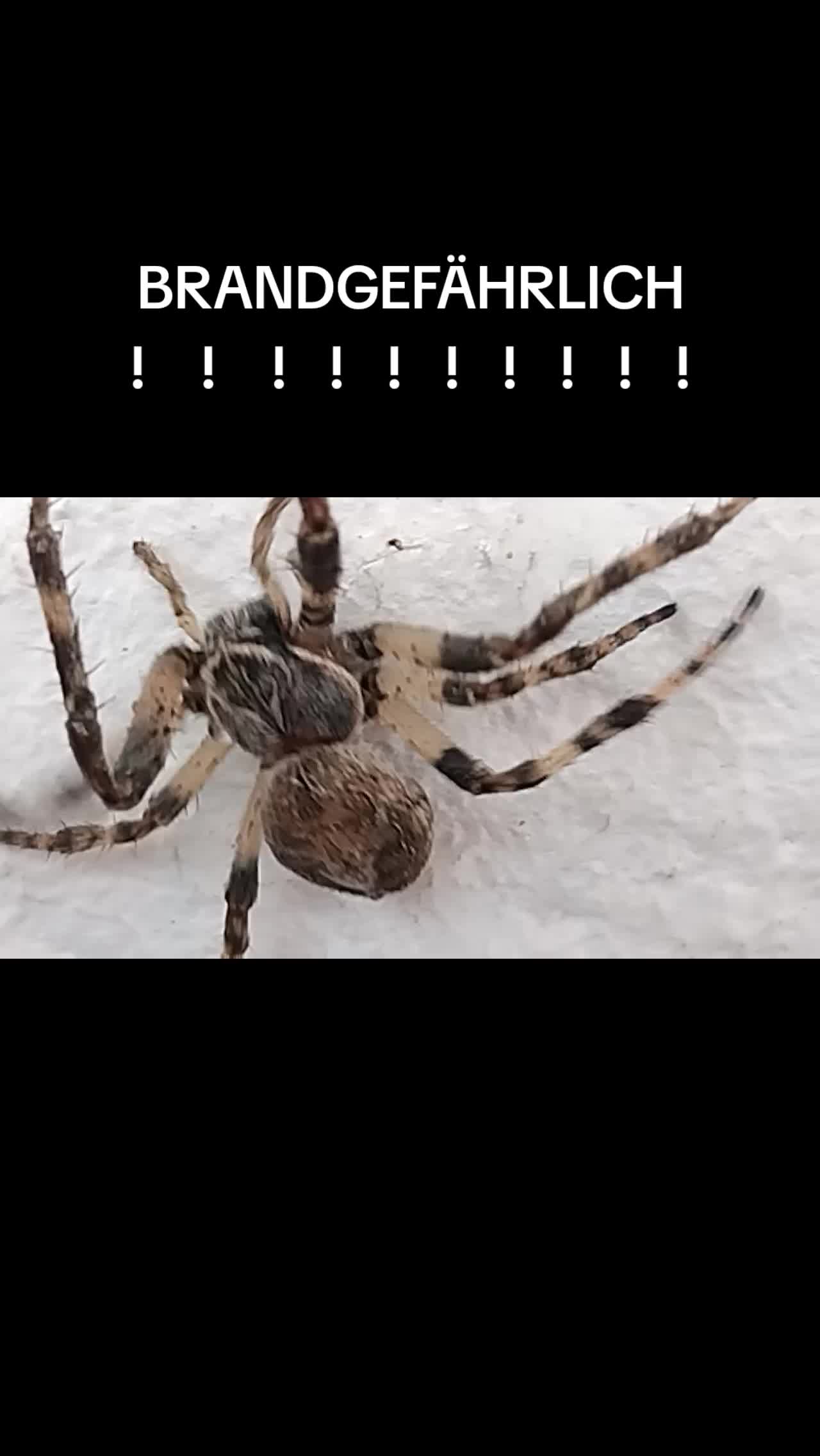 @StefanX.