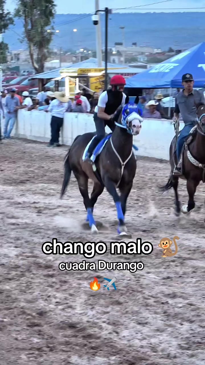 @carriles altos de jalisco🐎