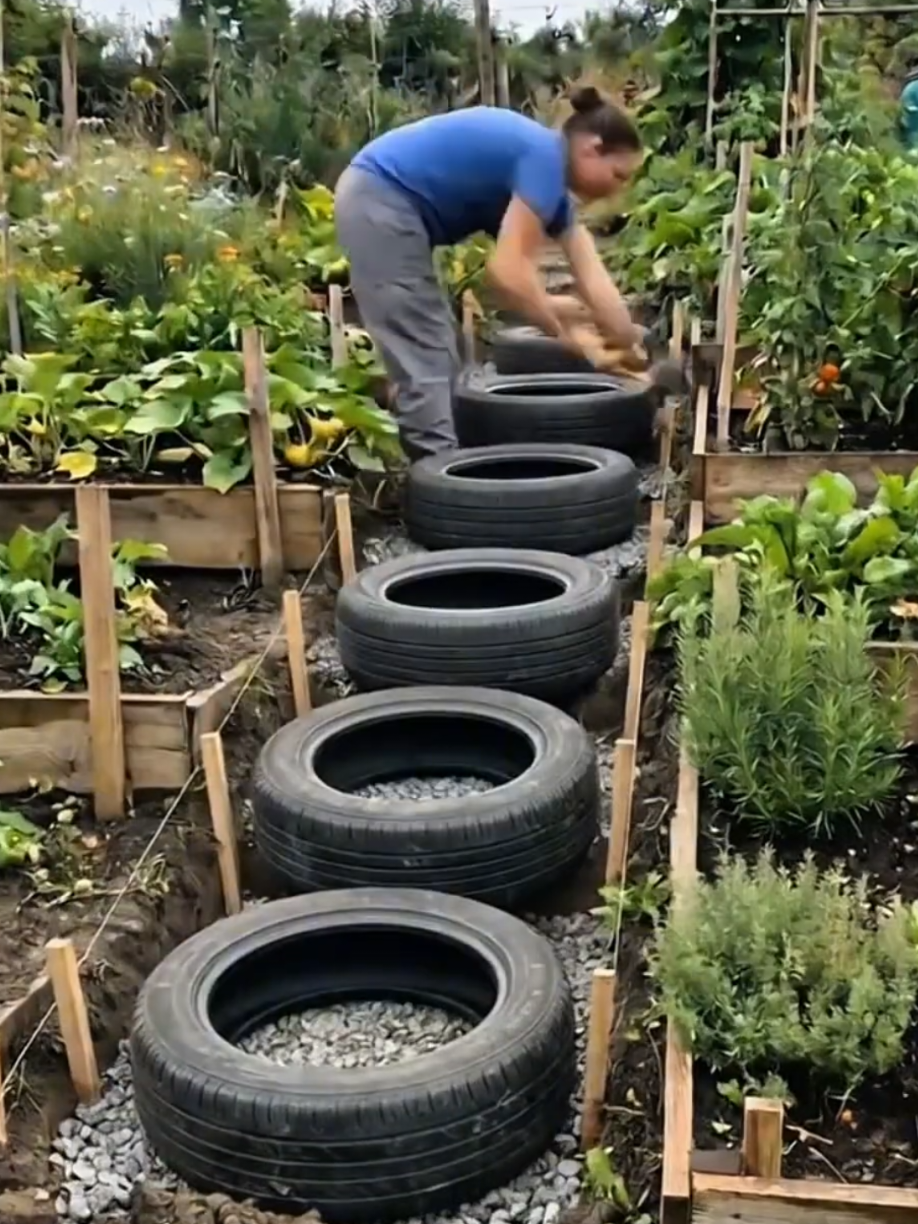 @PlantsLife