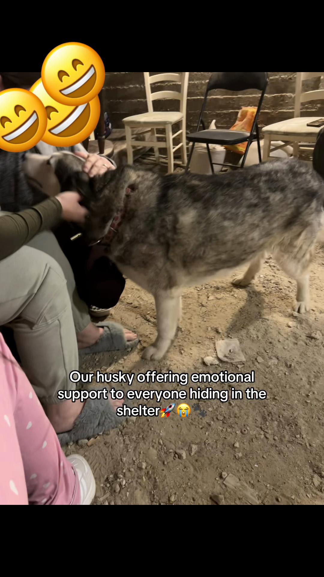 @Nala & Bella 💜