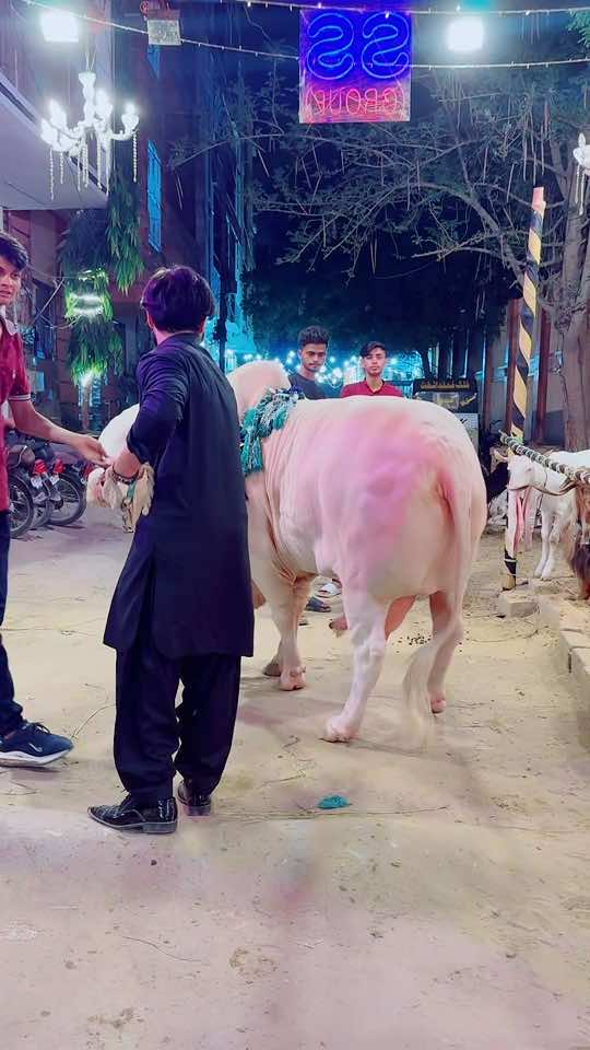 @SuFi Rasheed,,