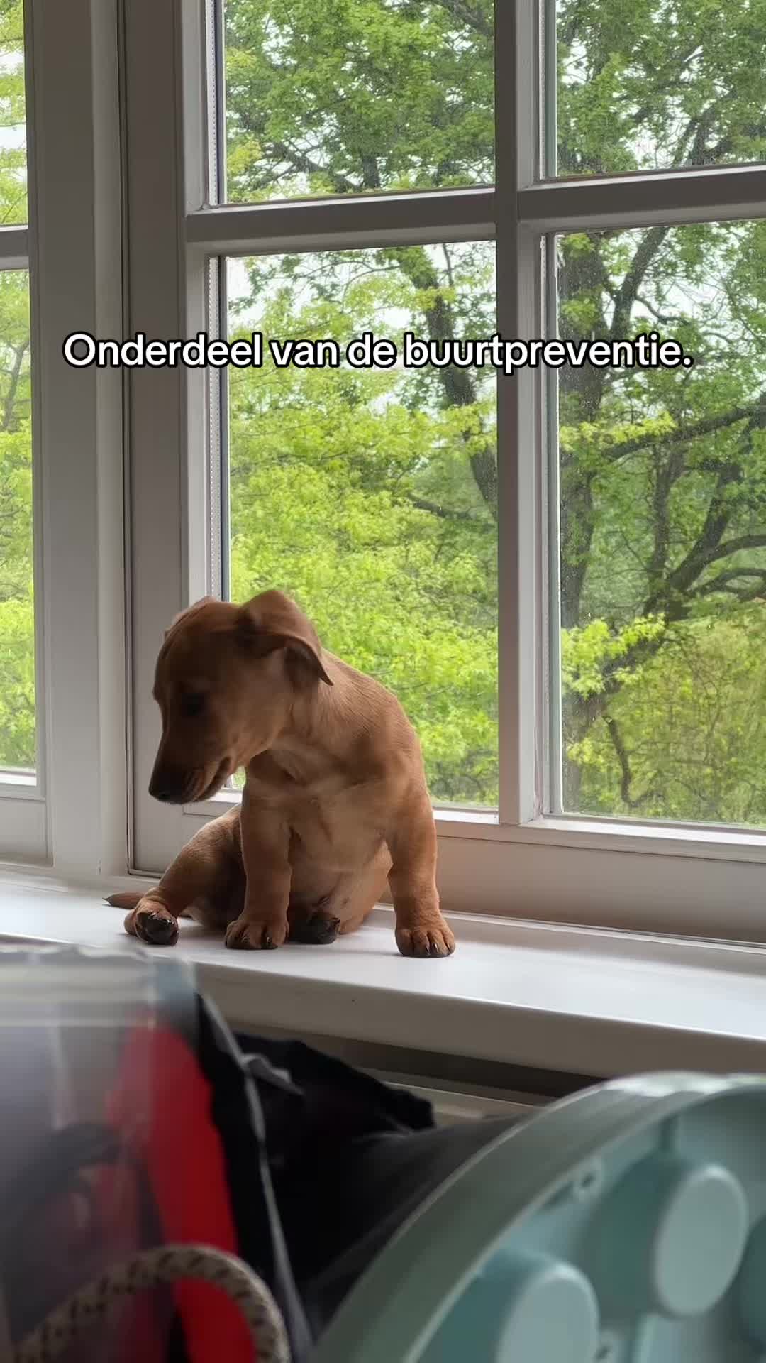 @INGE GROOT