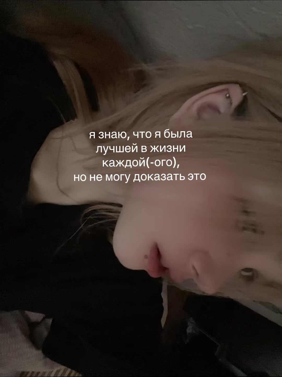 @лацертида