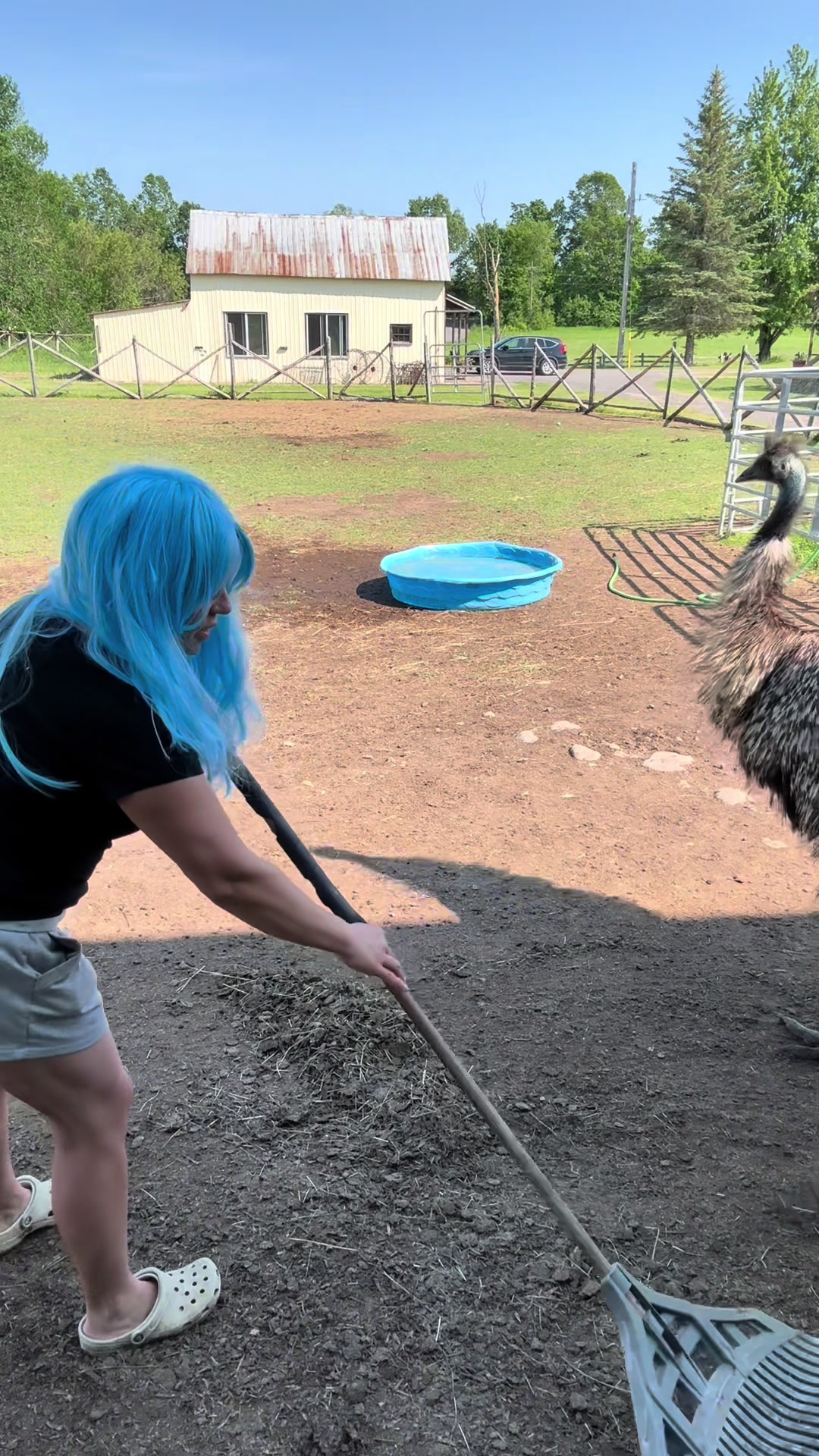 @Useless Farm