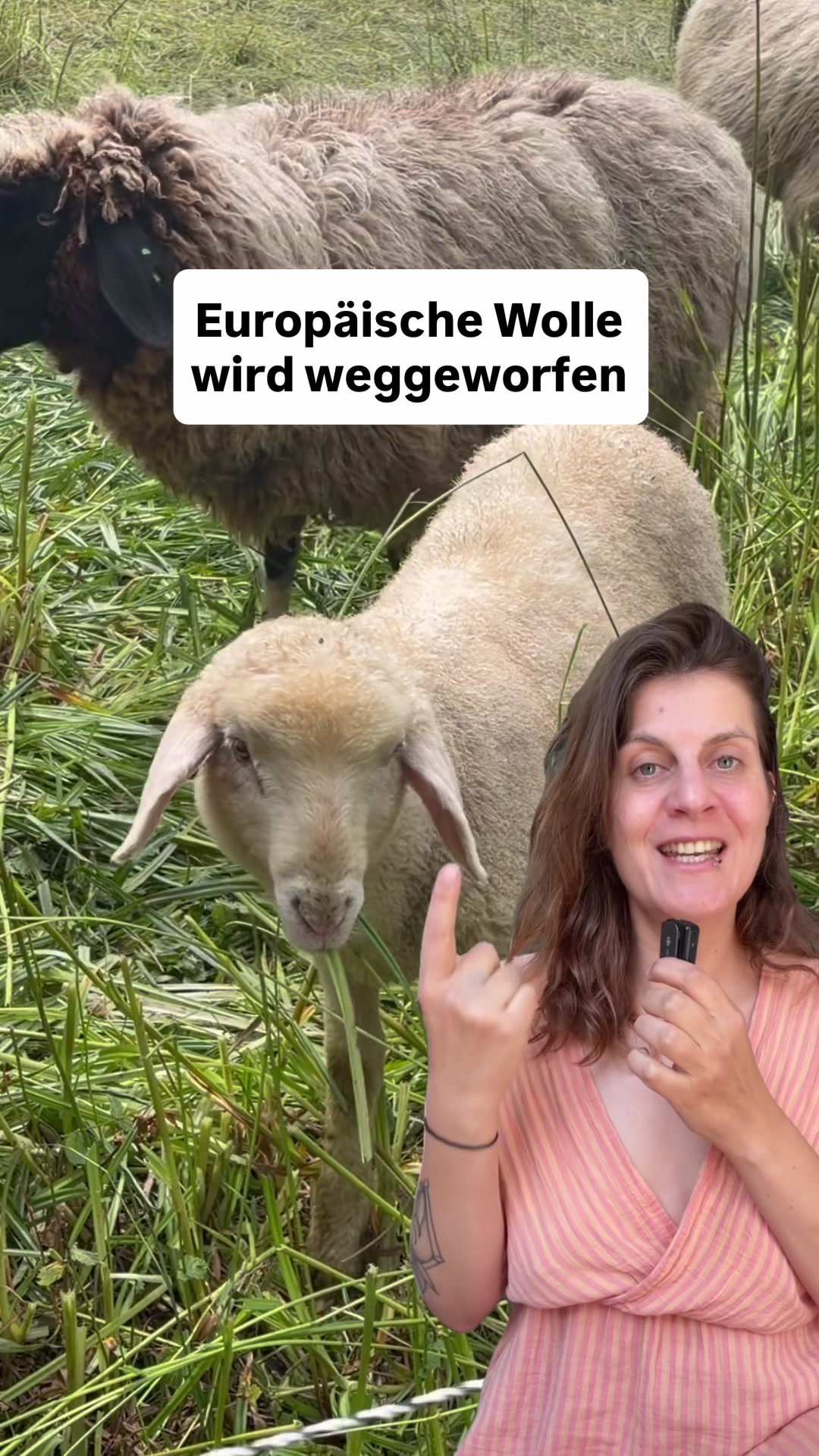 @Anke
