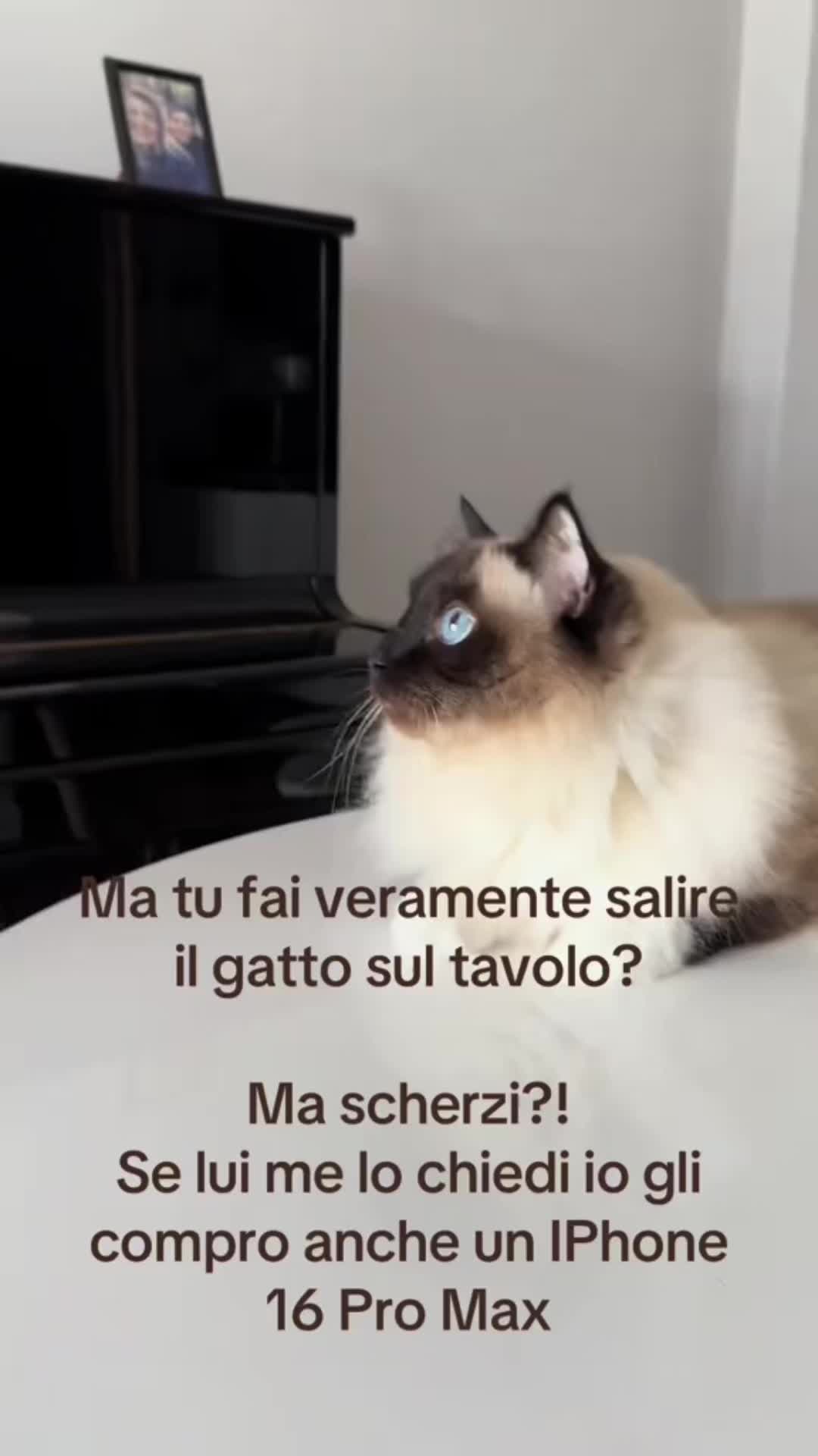 @Cristina Tarantino