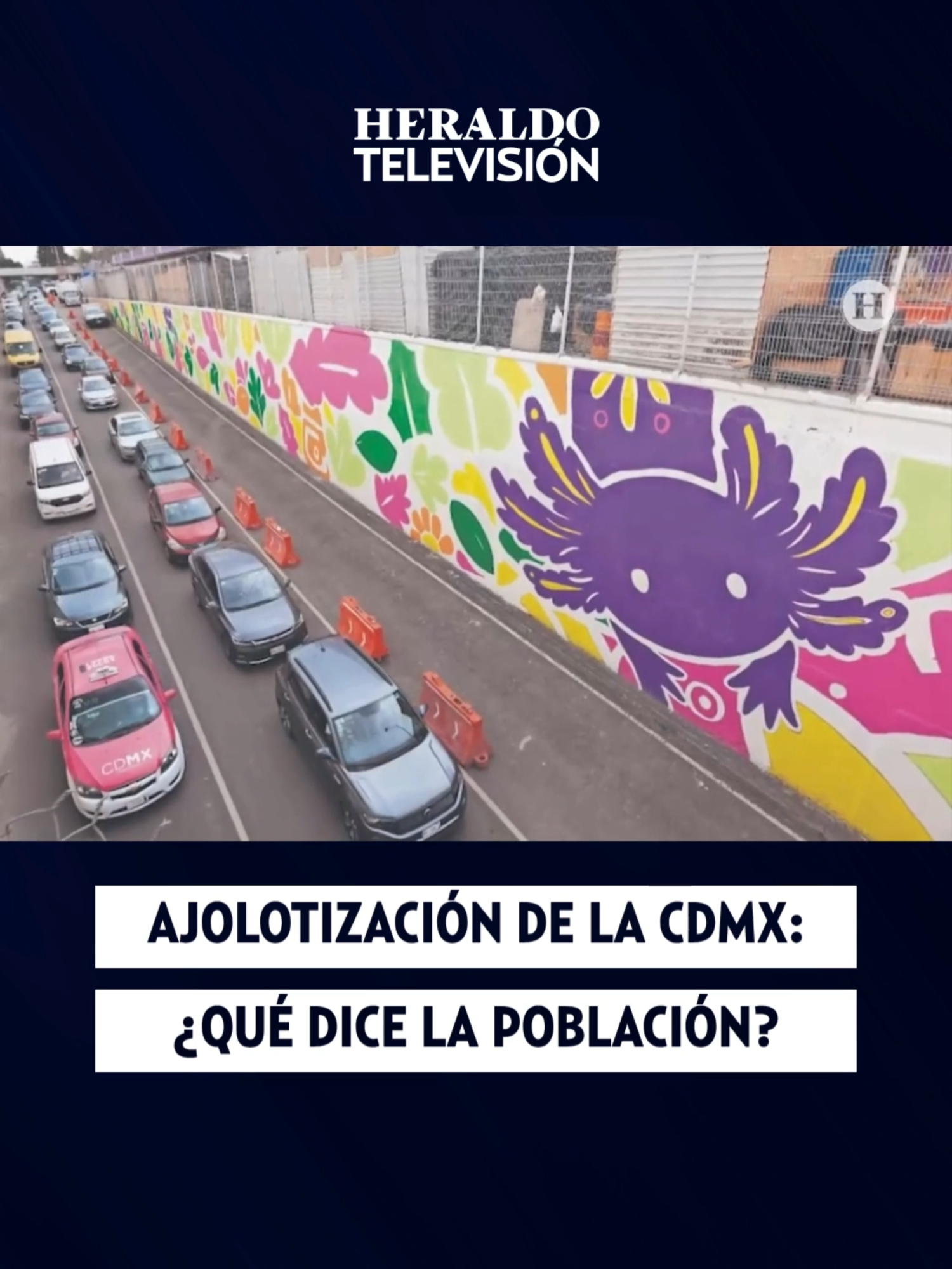 @elheraldodemexico