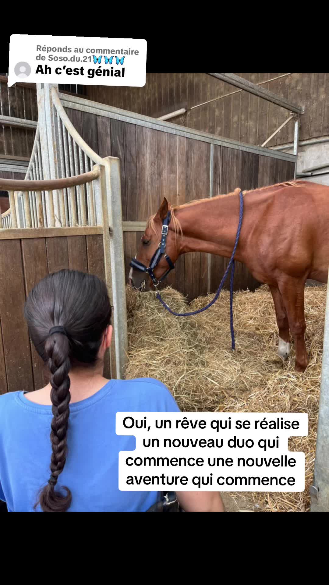 @Emmaparadressage