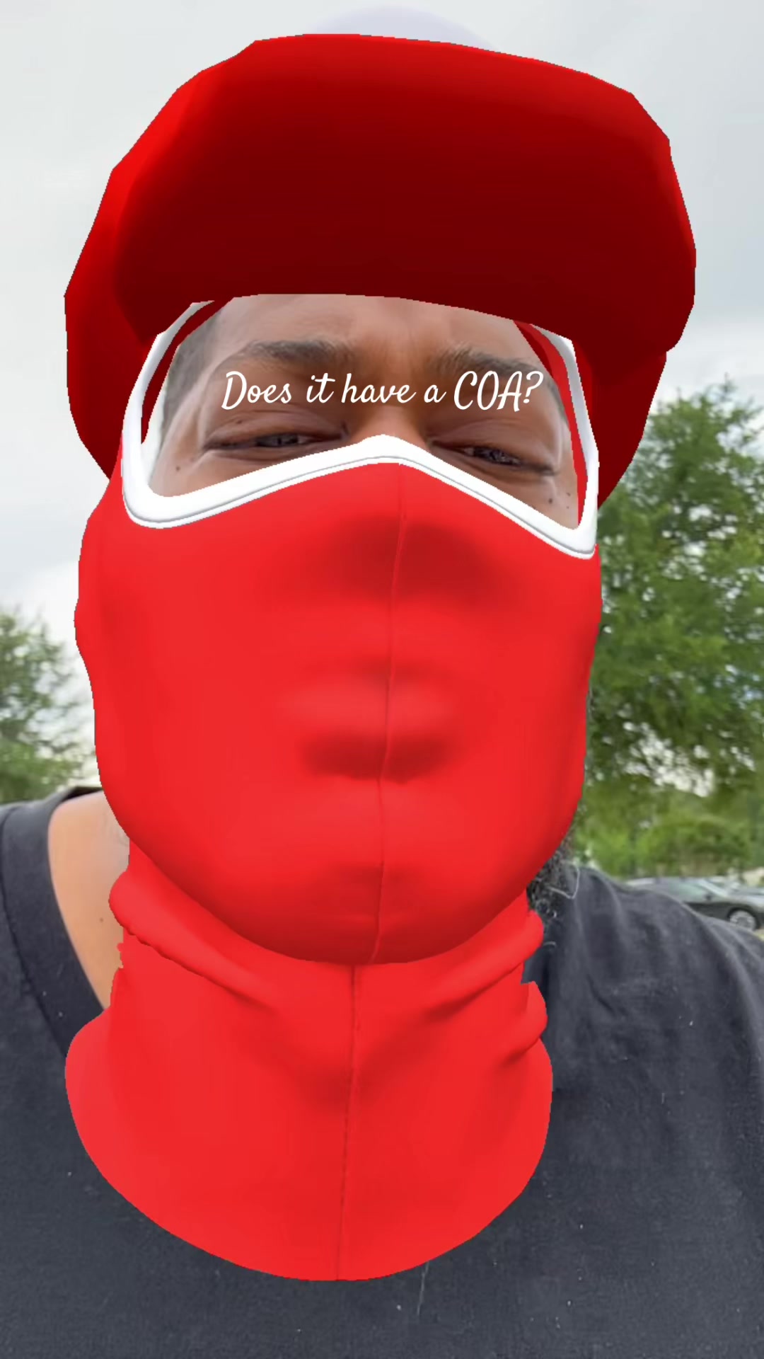 @thamillzeffect