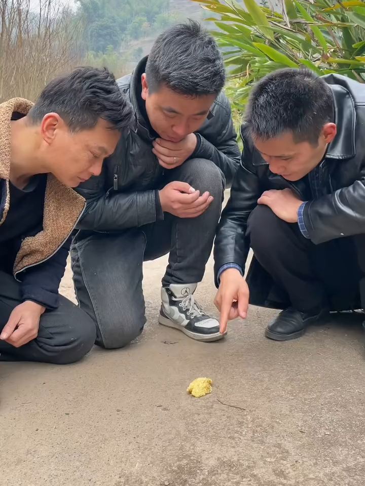 @Brother funny team