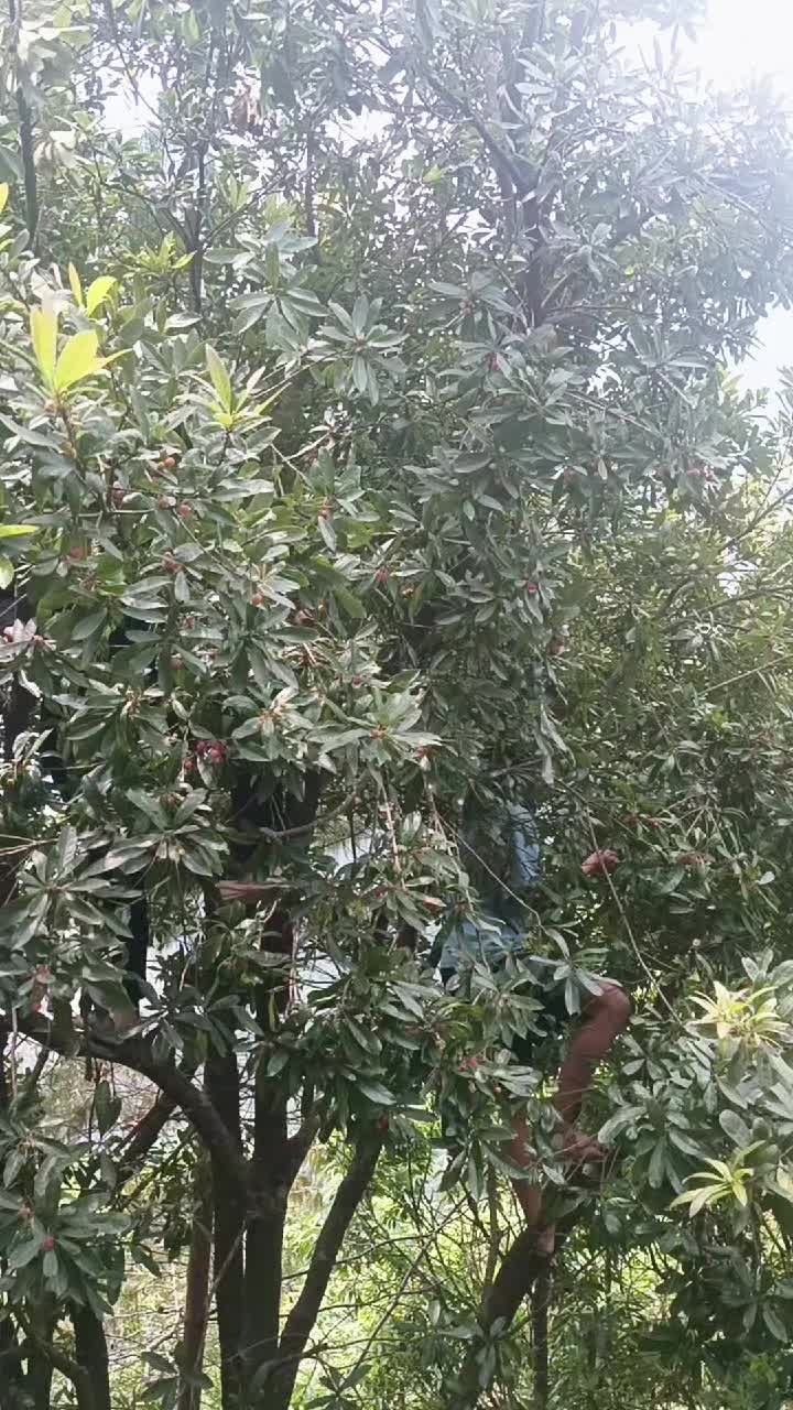 @अभाष यात्री💖