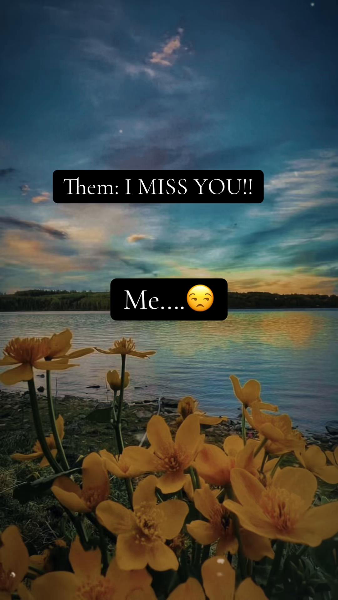 @l໐¢ค ♡