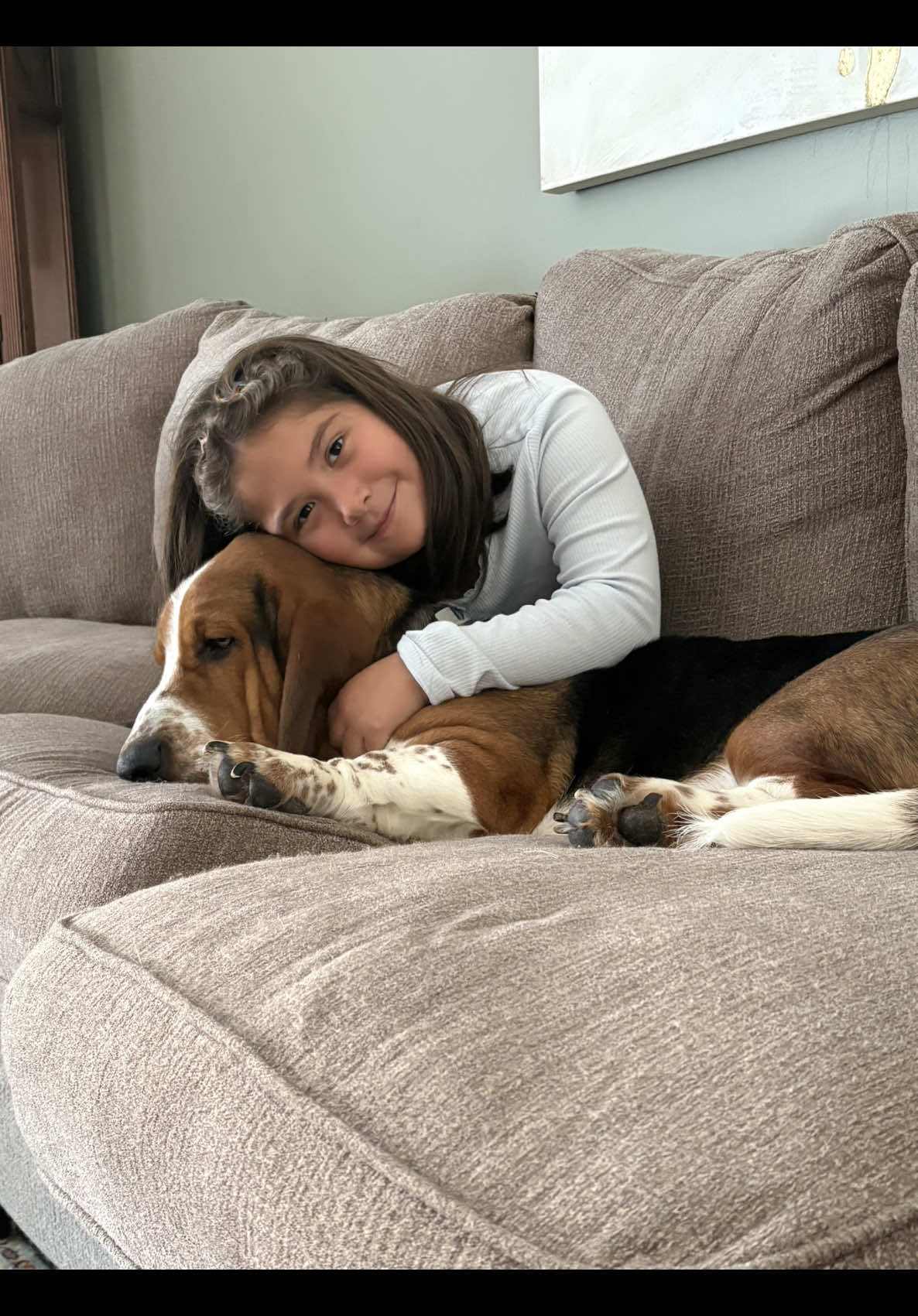 @Chuck Bass The Basset Hound
