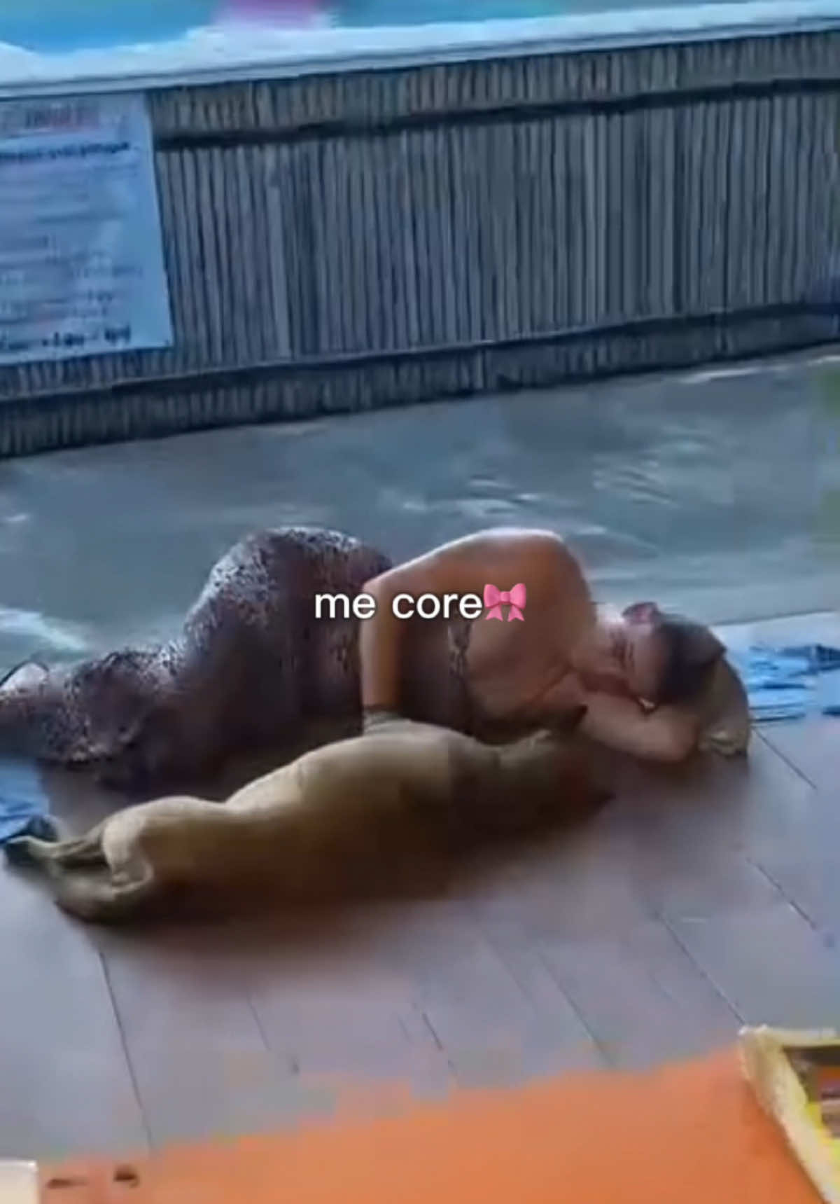 @nicole 🪩🍒🐆
