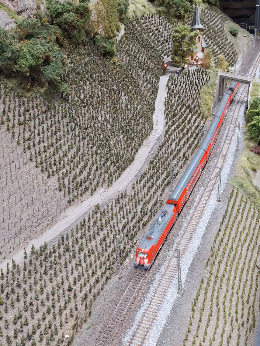 @Ludi 🚂💪