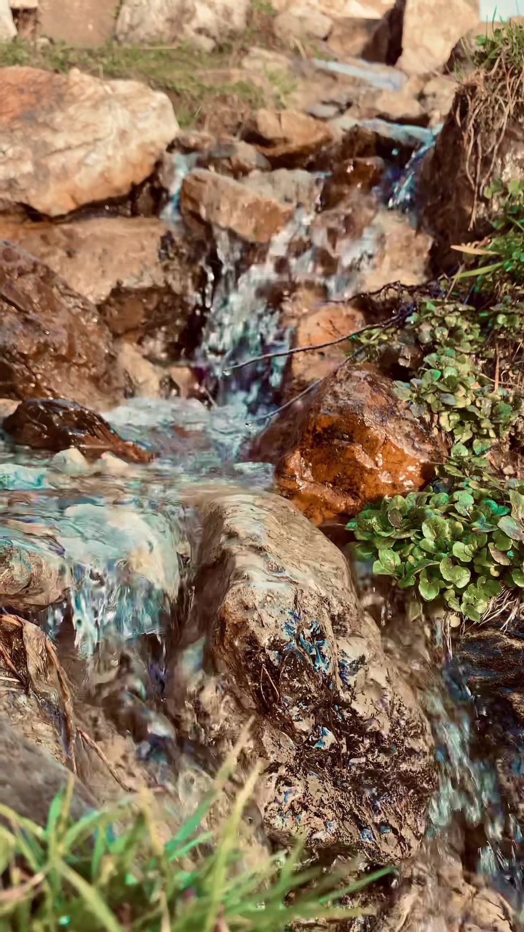 @𓆩𝐘 ᴛᴜʀɪ𓆪✪