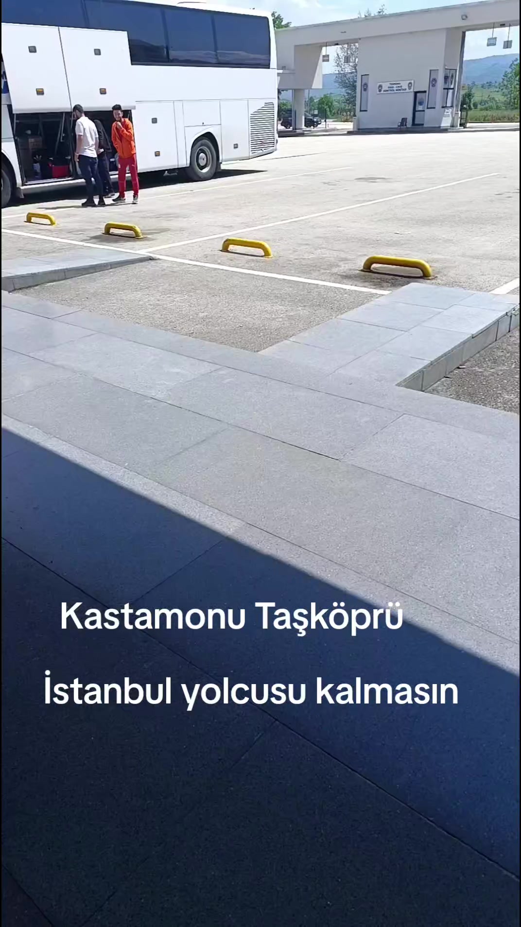 @papatya 🌼