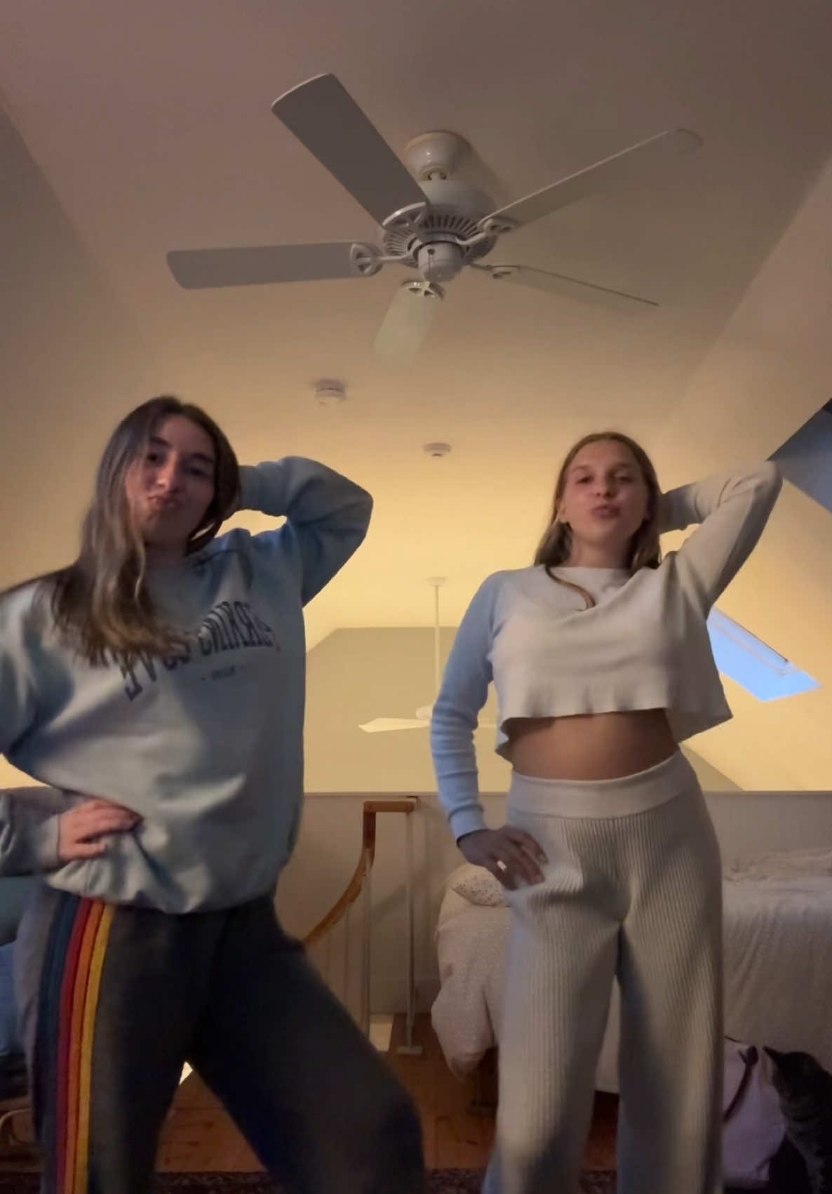 @alexa_amato