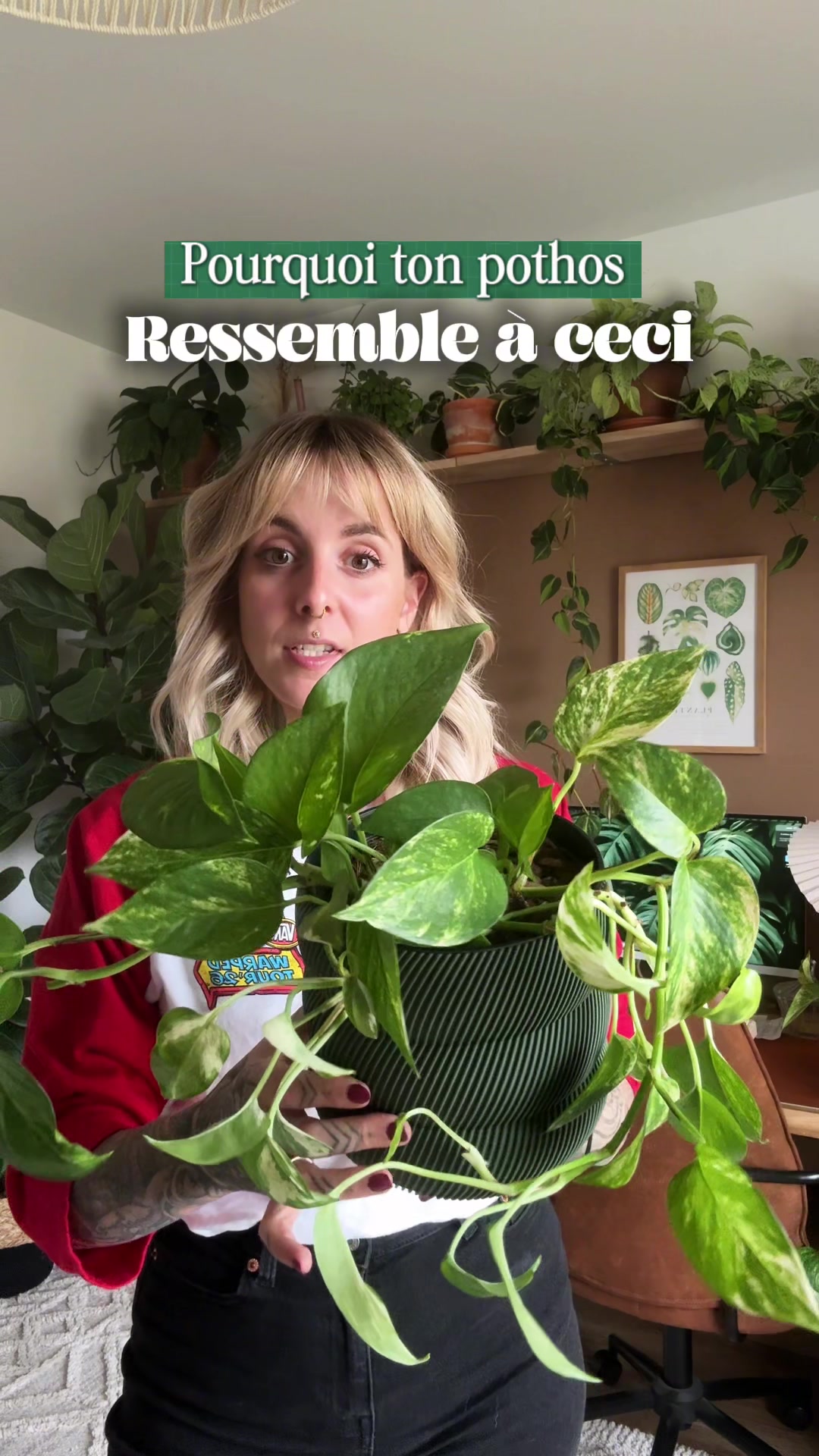 @Laura | Plants & Home decor