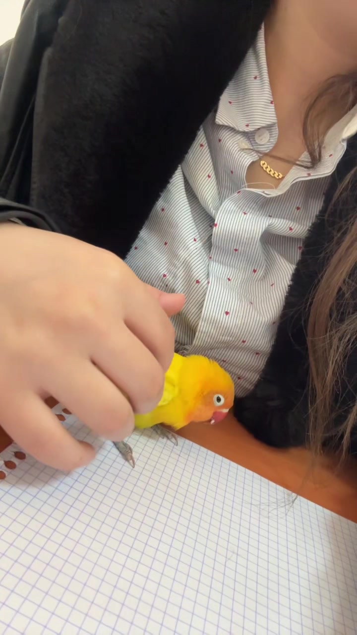 @الشقراء👧🖐