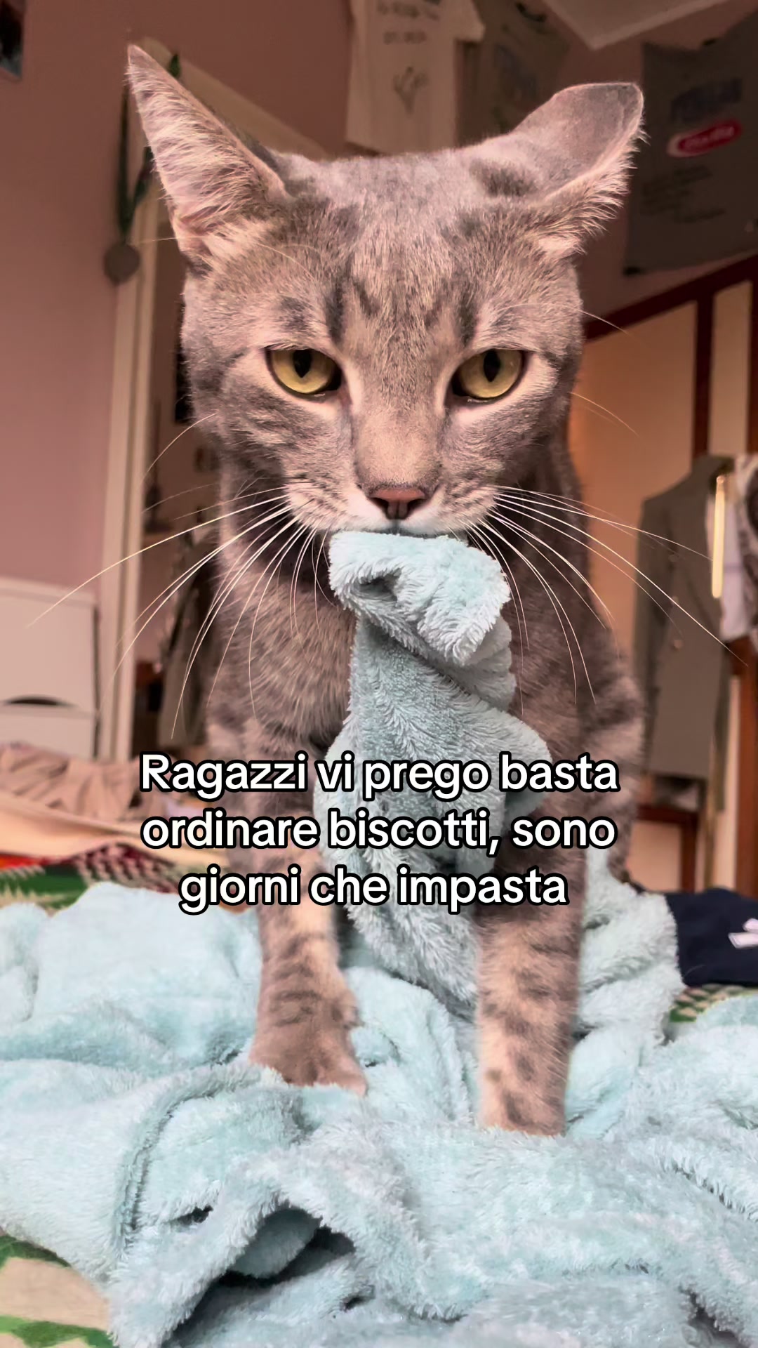 @Arianna Zani