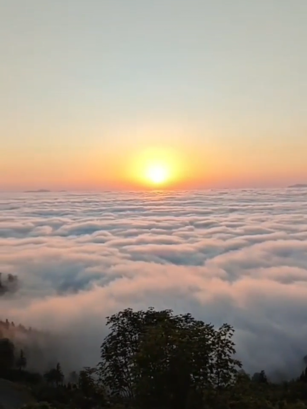 @Экскурсии по Грузии 🇬🇪