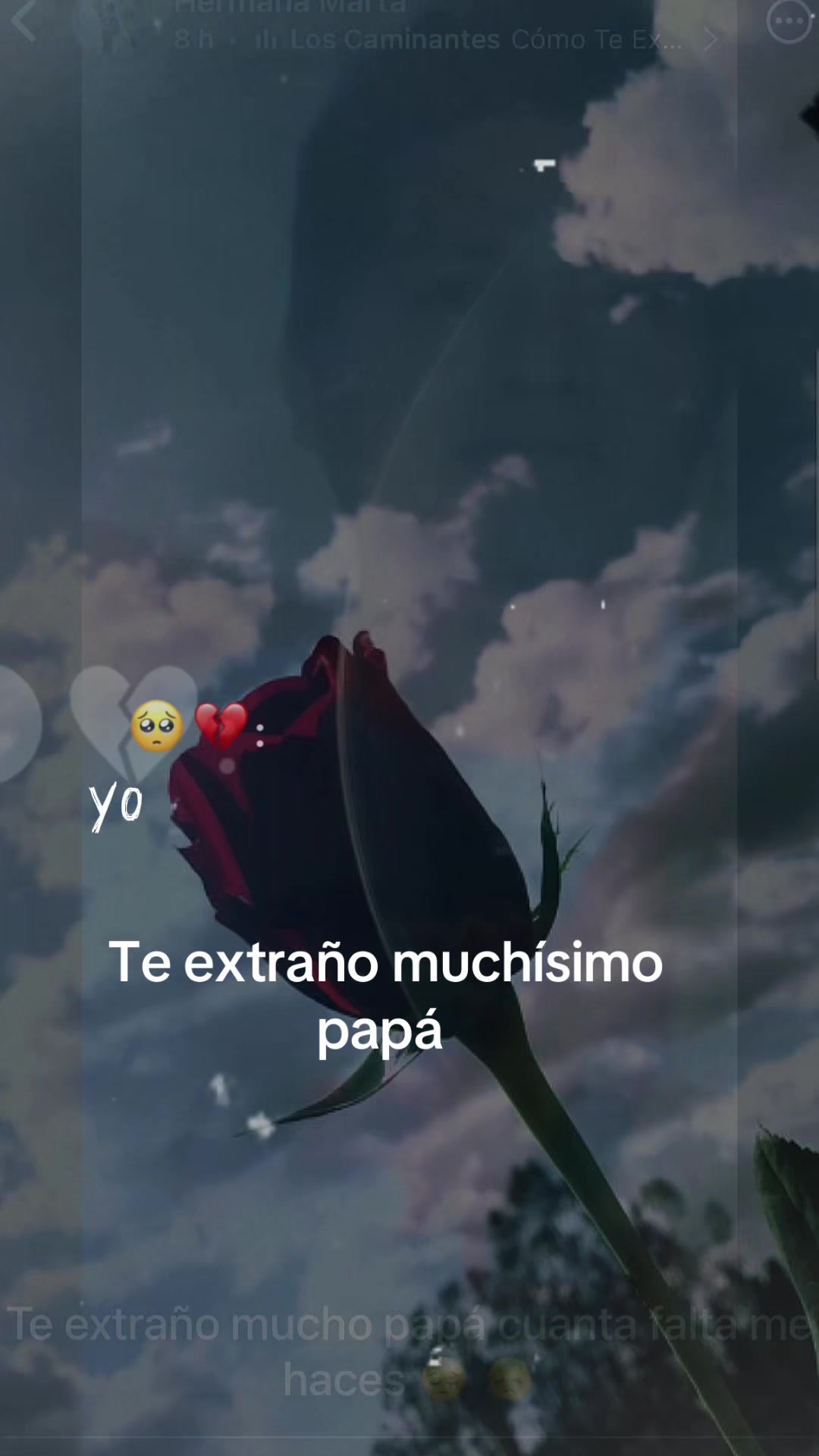 @Maria Avila