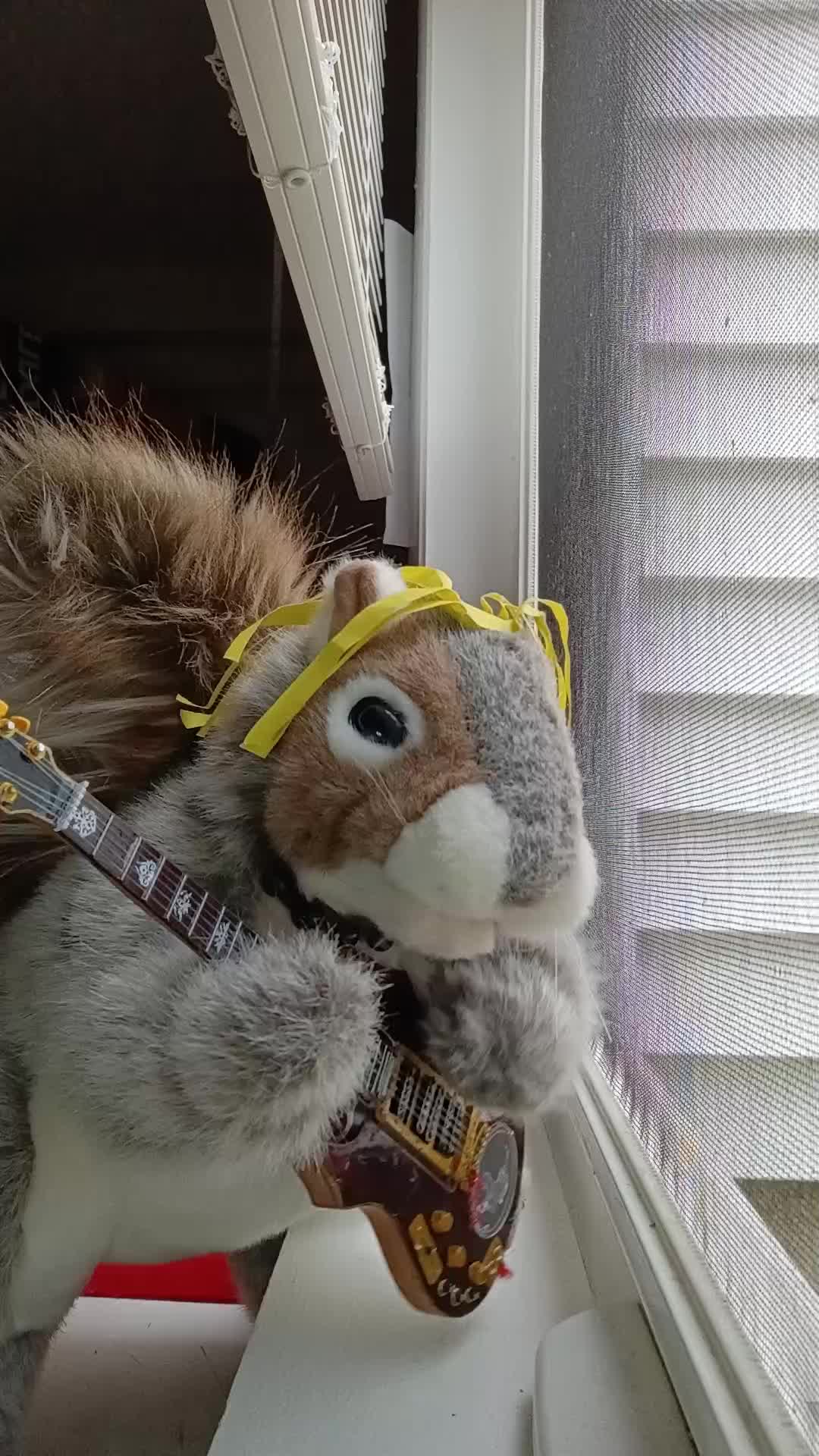@Charles_TheSquirrel