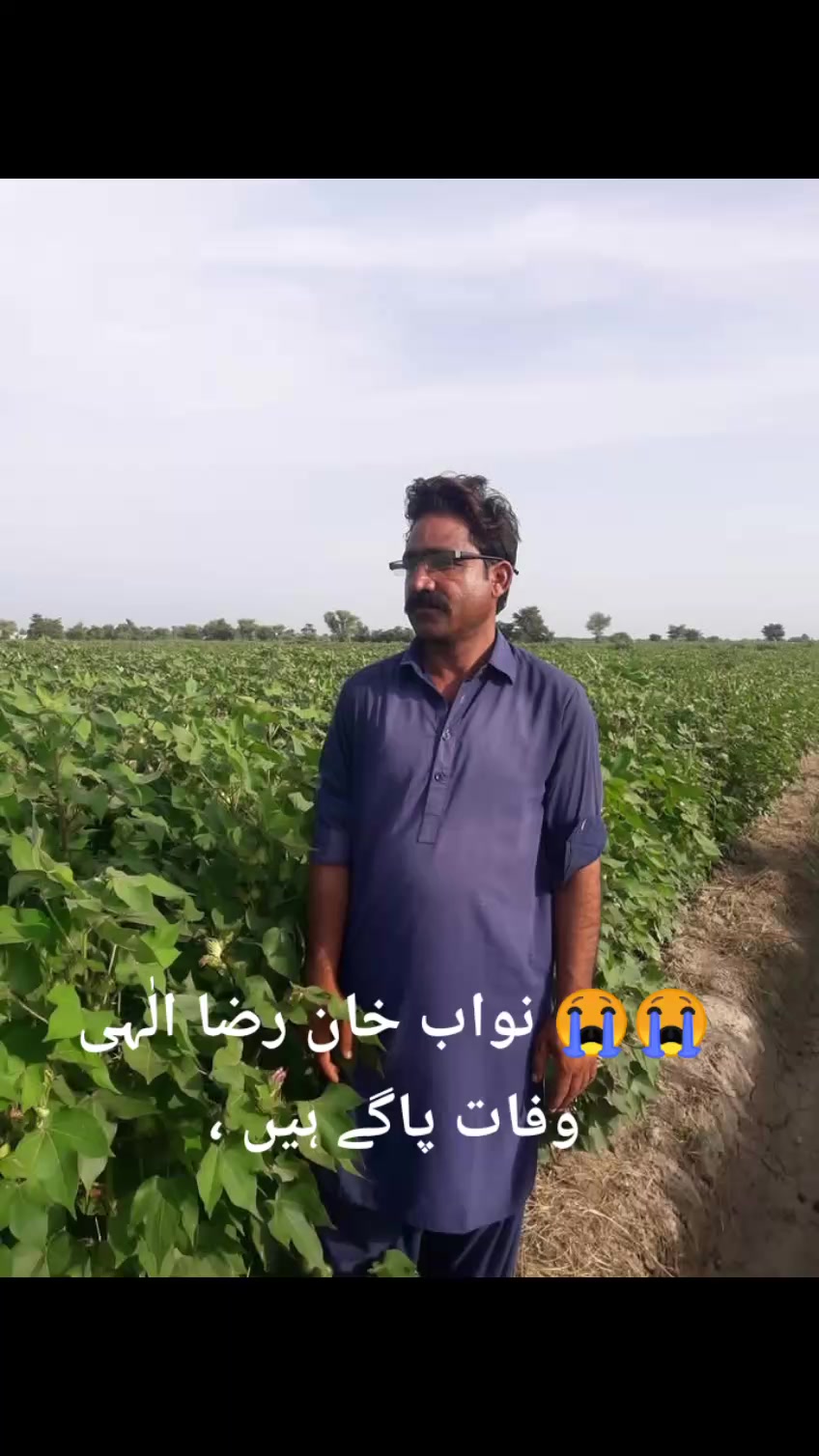 @Nawaz _Khan_Jiskani💖❤️💕❤️🩹