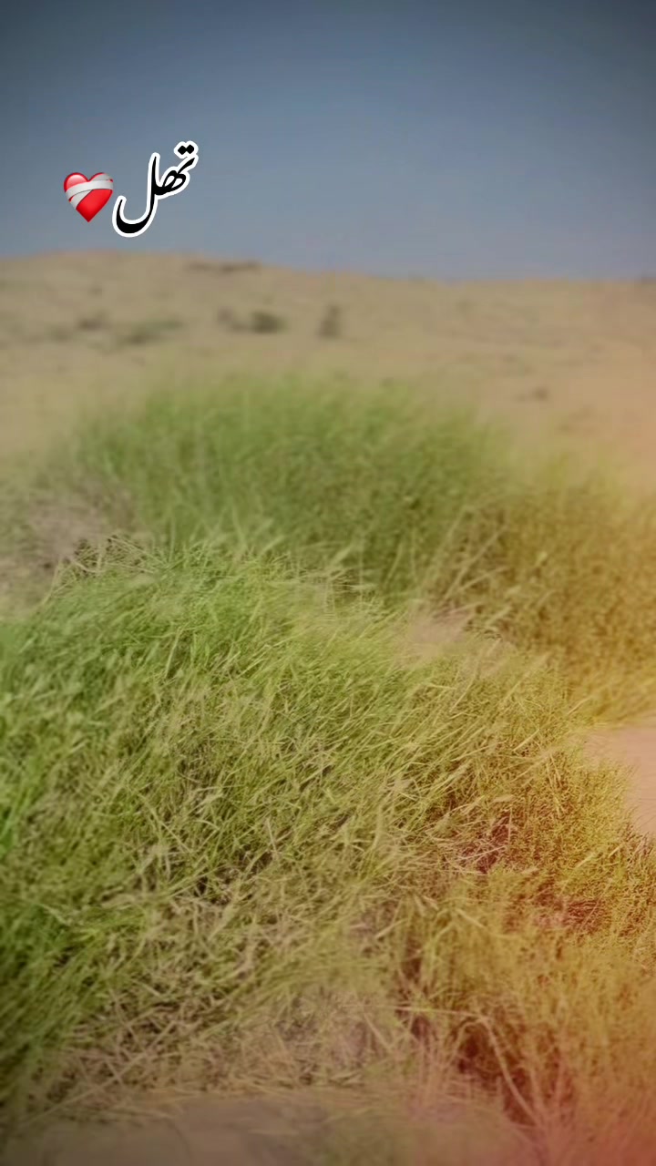 @🥷زیبی ملتان آلا 🥷