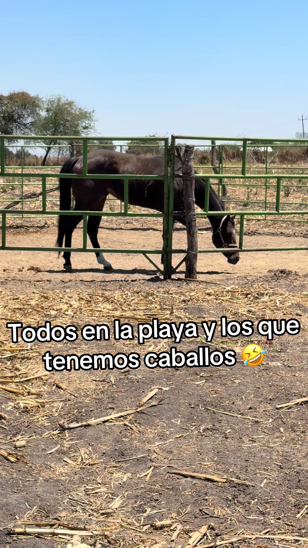 @Nellylopcas
