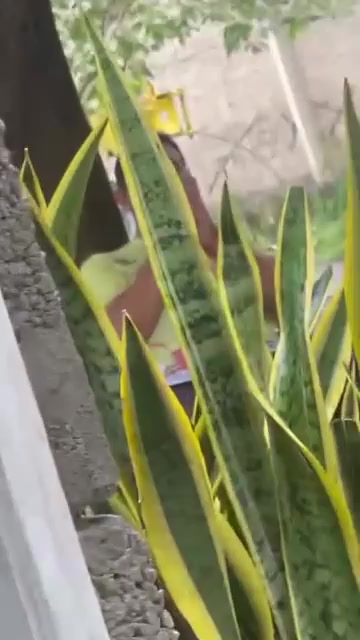 @exe.shitposte