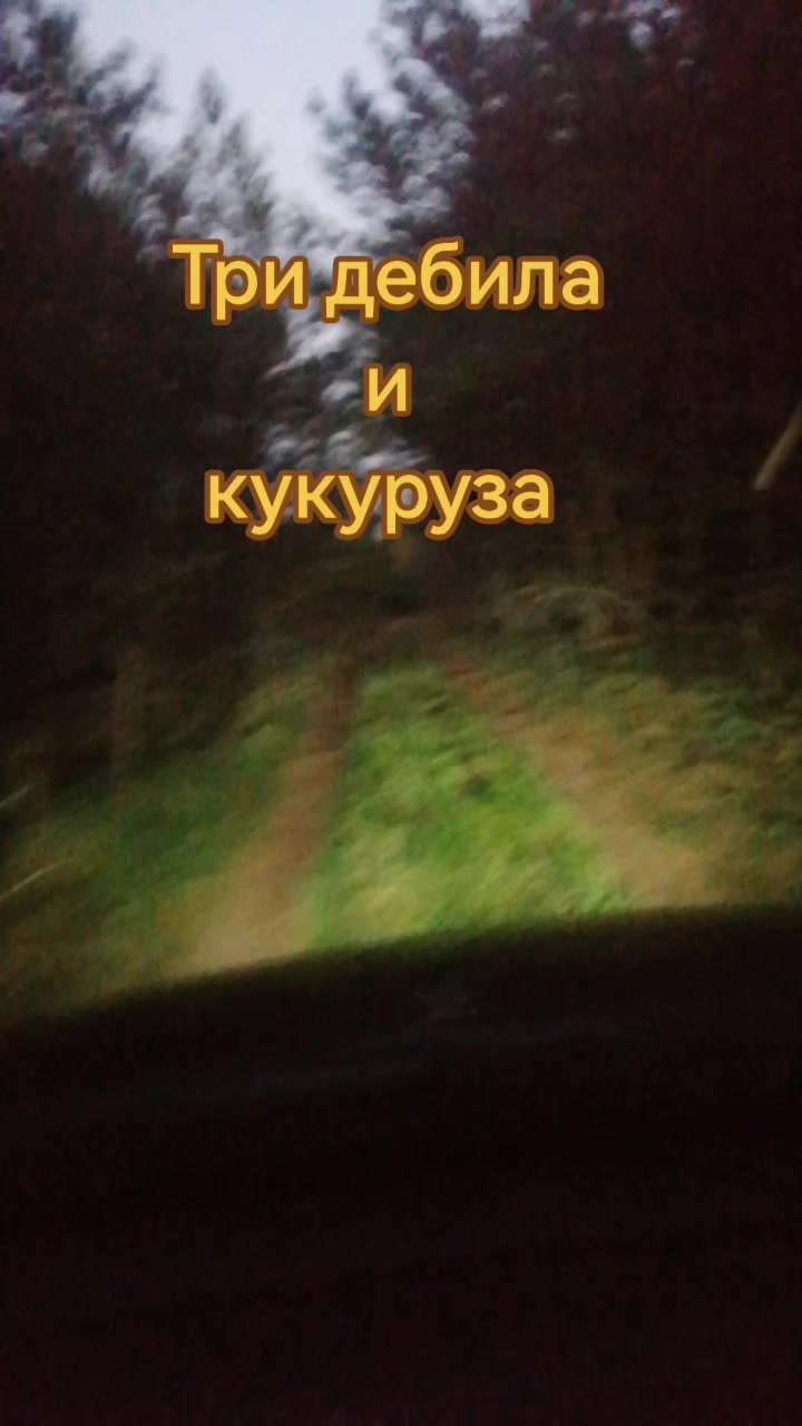 @seregabos