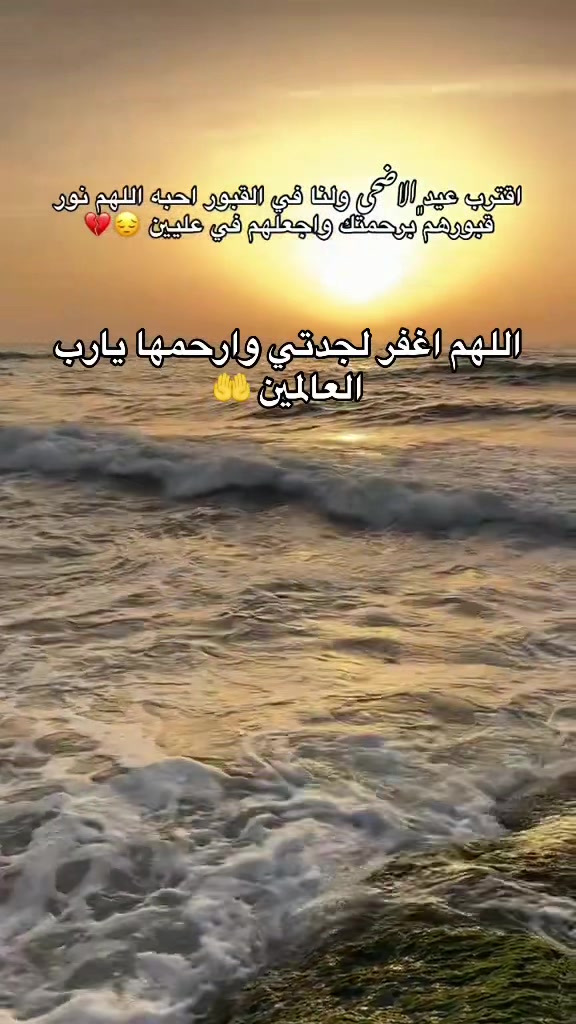 @حسن الذويبي