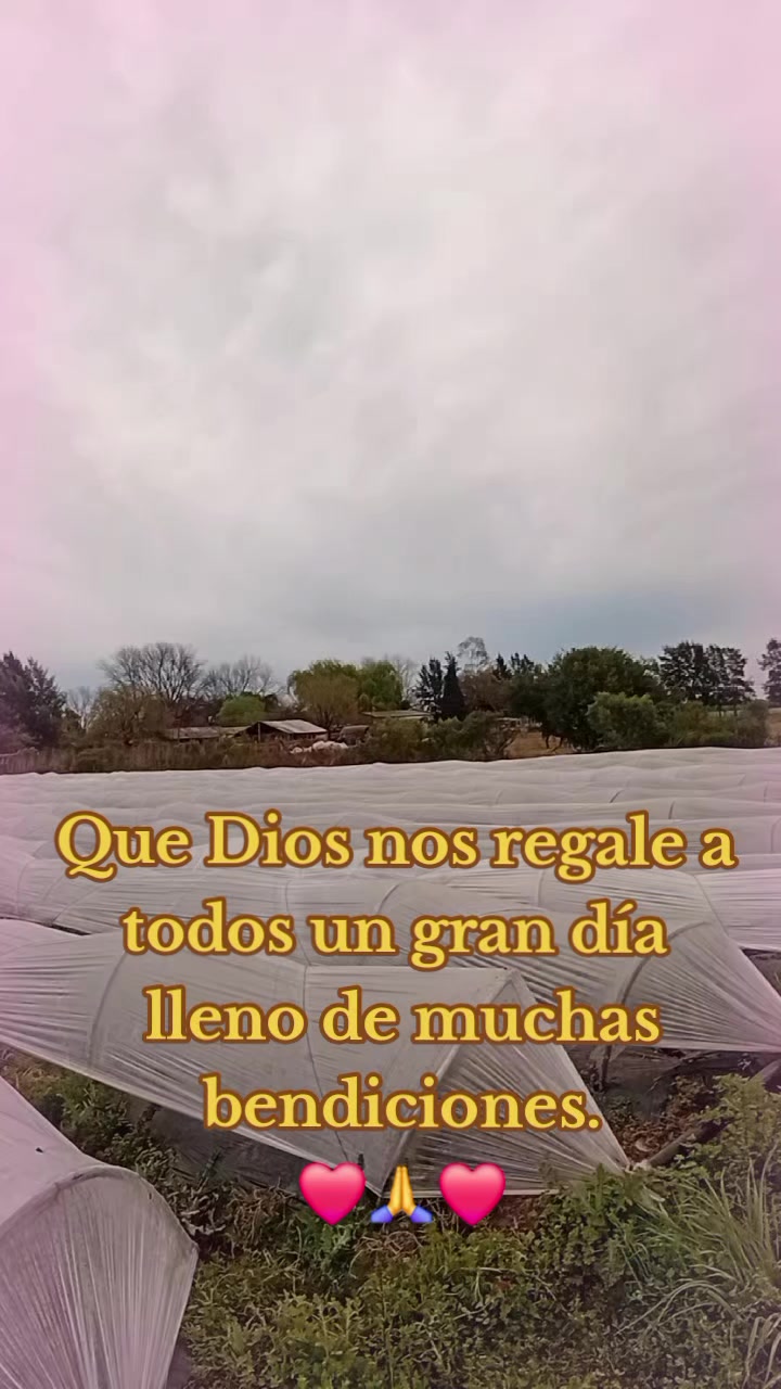 @Emy_Mary🇧🇴🇦🇷🐇🌿