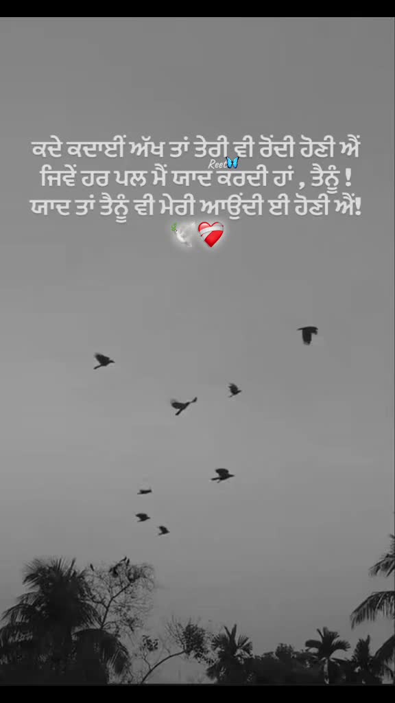 @Reet Kaur🦋🧚♀️🪬
