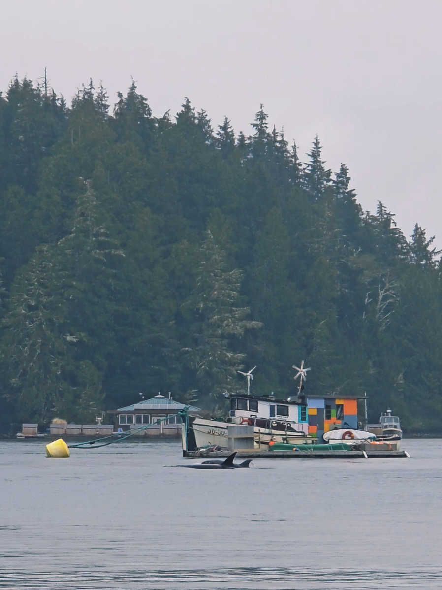 @Marcie Callewaert 🍁