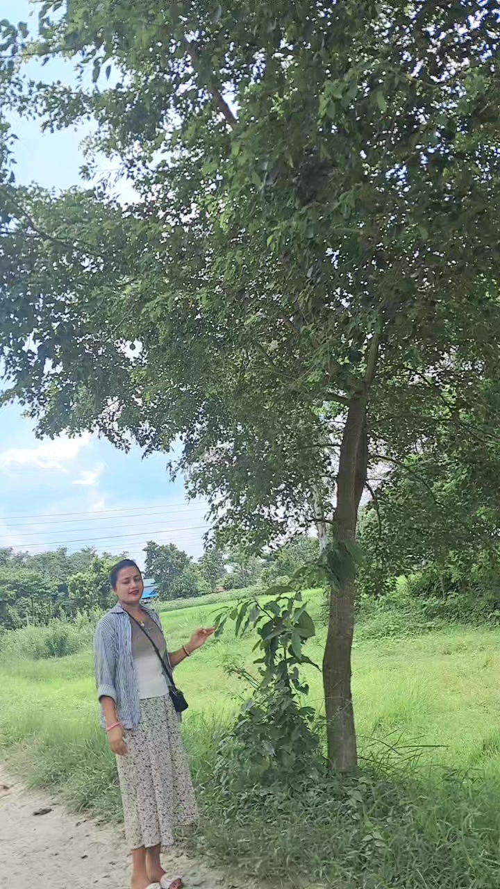 @🦋@कान्छी
