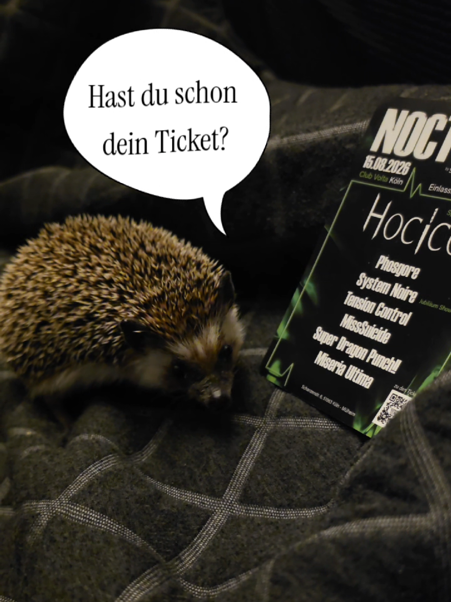 @Schwarztour