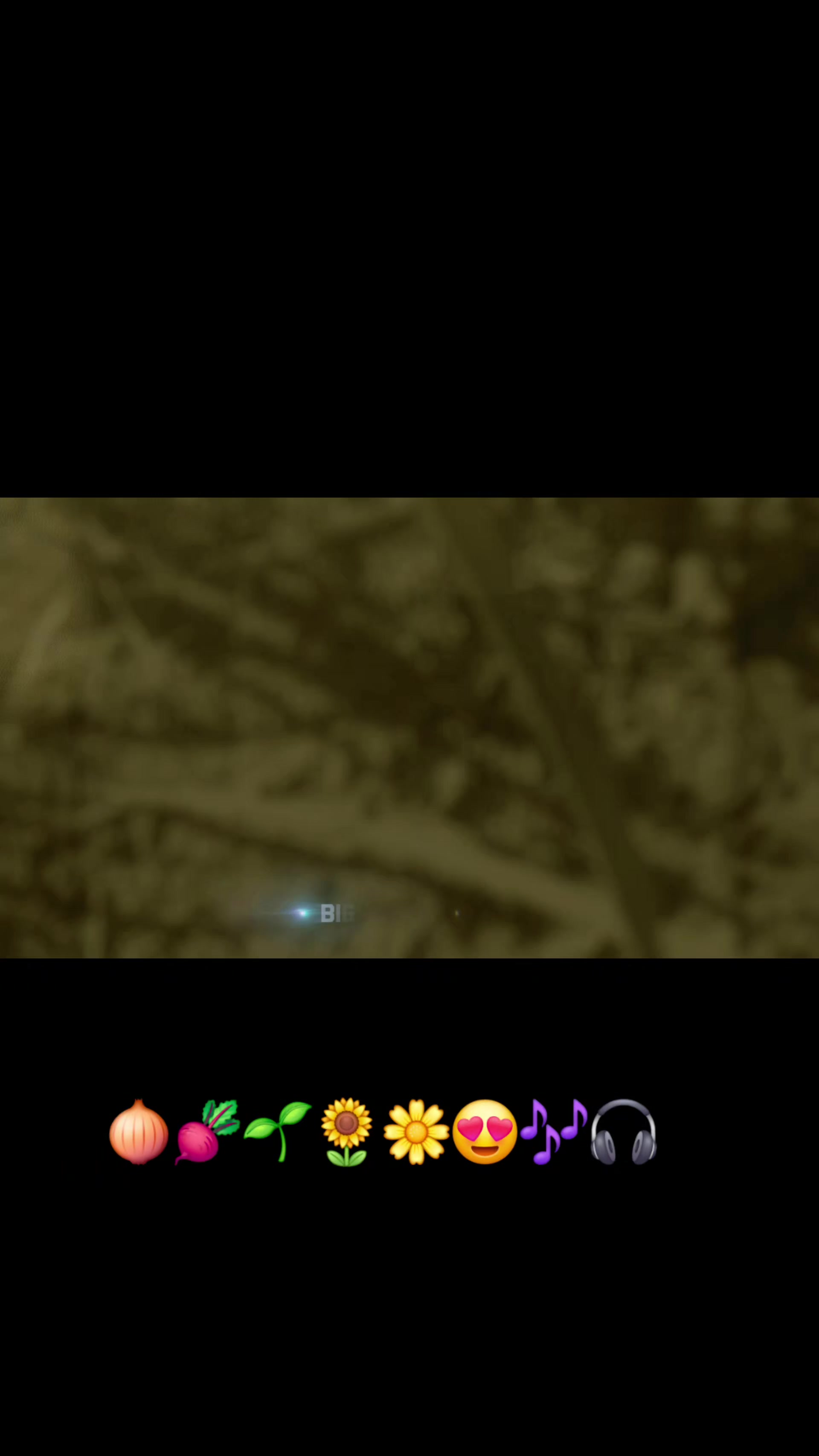 @🩵Luii502🩵🐬👨&zwj;🌾