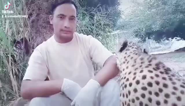 @irshadali123482
