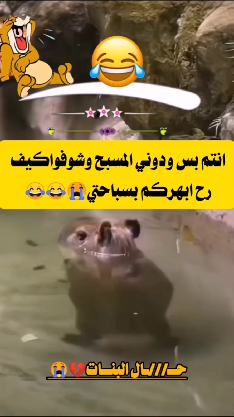 @امـيܔ͢❀͜ـر🍷⃟ـتـ؏ز𓆩𓅗𓆪