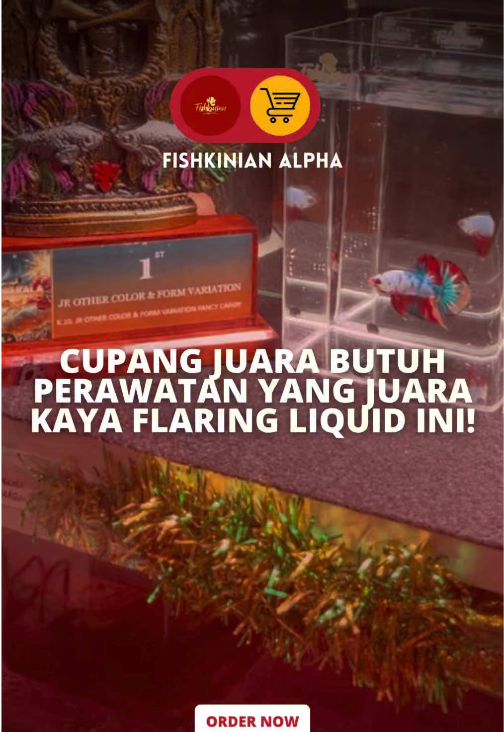 @Fishkinian Alpha1
