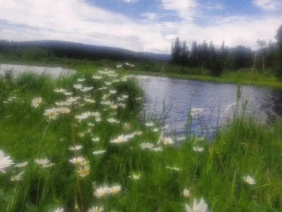 @𝘿𝙄𝙂𝙄𝙏𝘼𝙇𝙄𝙎