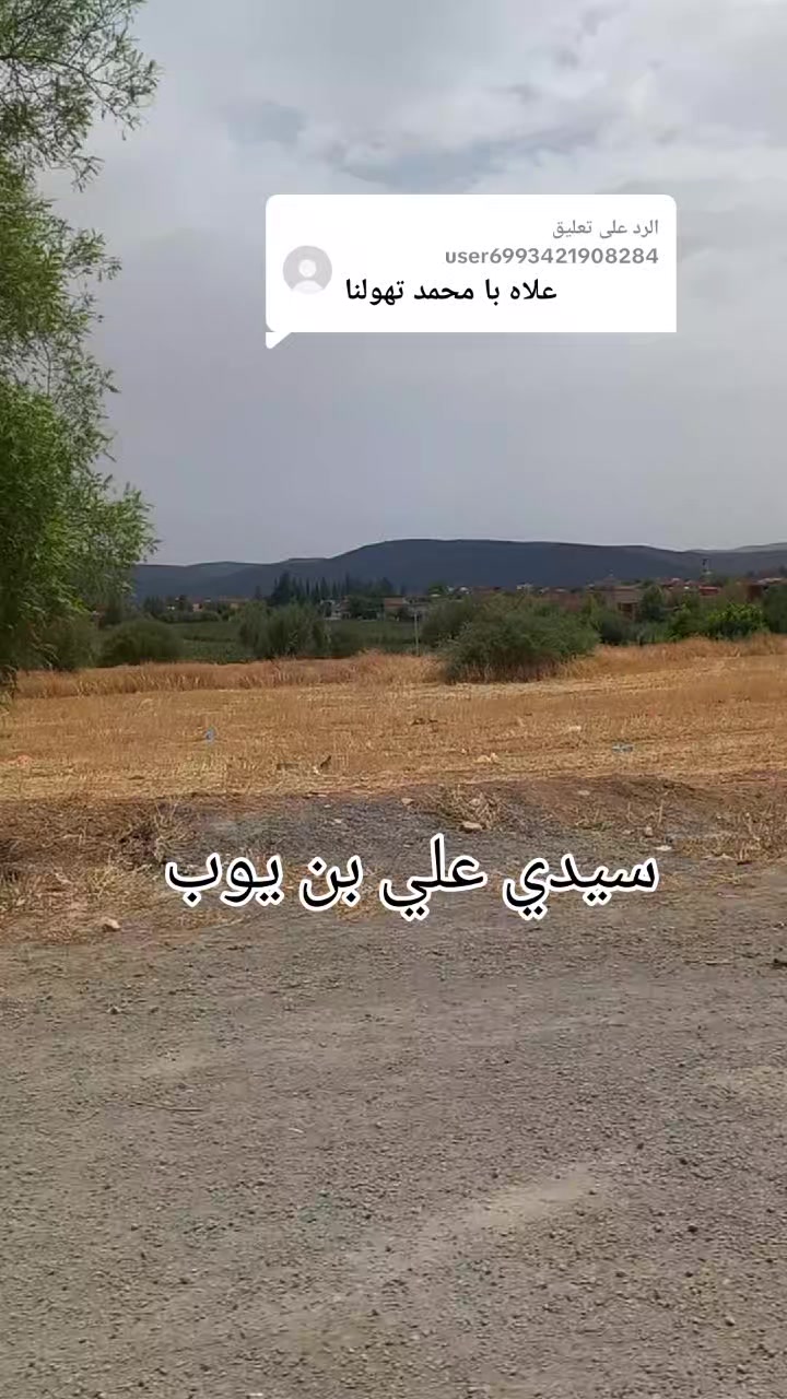 @محمد خراز 🇩🇿 ❤🤍💚