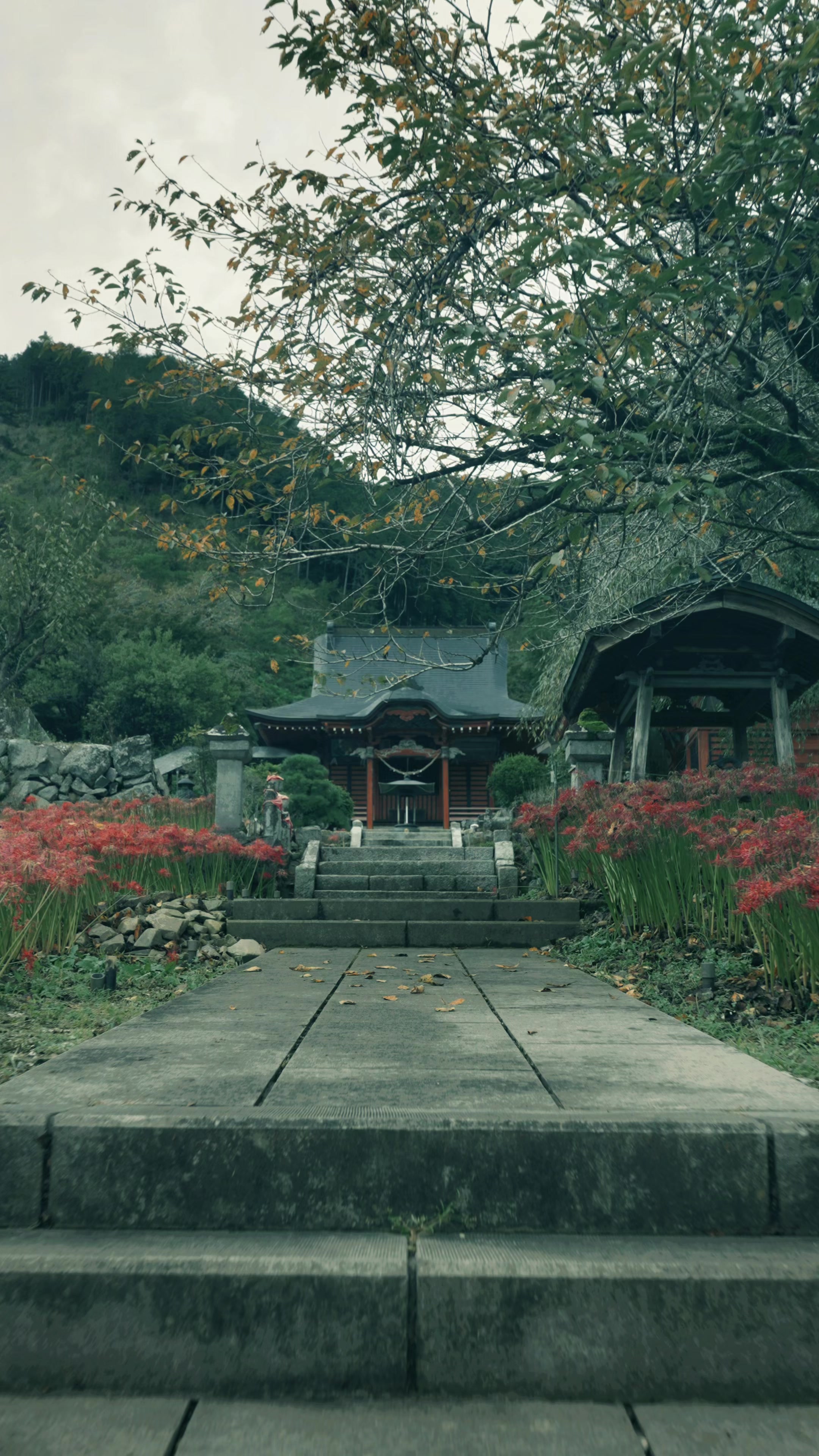 @Japan Walker